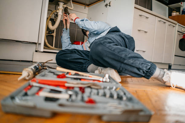 Best Same-Day Plumbing Service  in Atwood, IL
