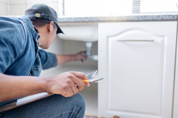 Best Plumbing Services Near Me  in Atwood, IL
