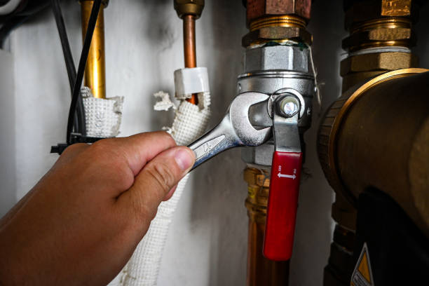 Best Affordable Plumber Near Me  in Atwood, IL
